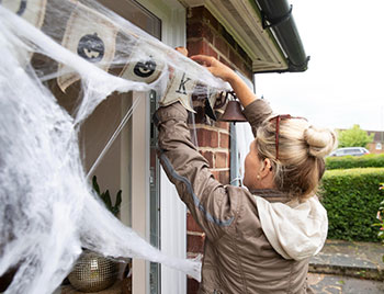Cobweb Removal